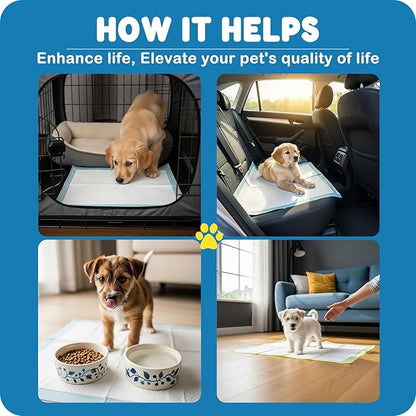 MoMoCo Puppy Pads, 23"x23"-100 Count Dog Pee Pads, Super Absorbent Disposable Dogs Training Pads , Leak-Proof, Quick-Drying Dogs Pads for Doggies Puppies
