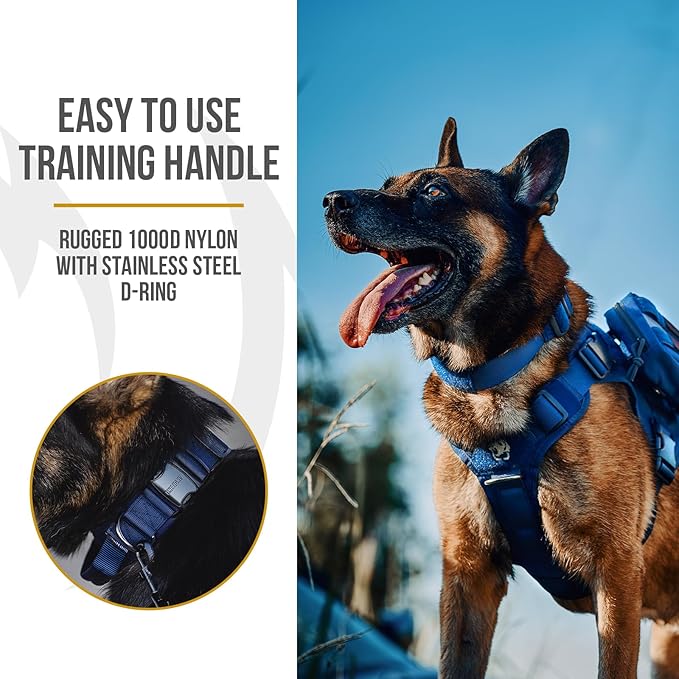OneTigris Tough Dog Collars, Tactical Dog Collar with Handle, Milltary Adjustable Dog Collar with Heavy Duty Metal Buckle for Training (Blue, S)