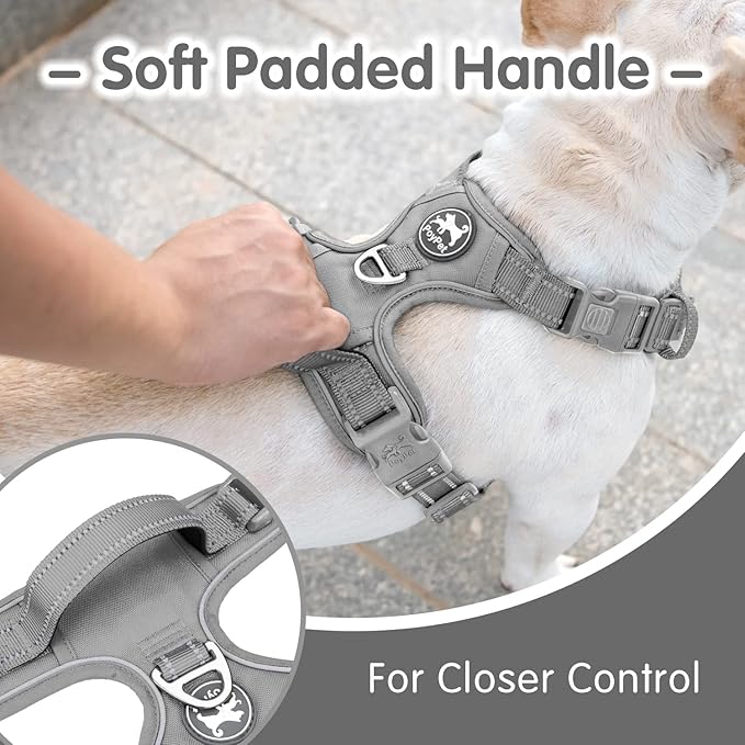 PoyPet No Pull Dog Harness and 5 Feet Leash Set, Release on Neck Reflective Adjustable Pet Vest, Front & Back 2 D-Ring and Soft Padded Pet Harness with Handle for Small to Large Dogs(Grey,L)