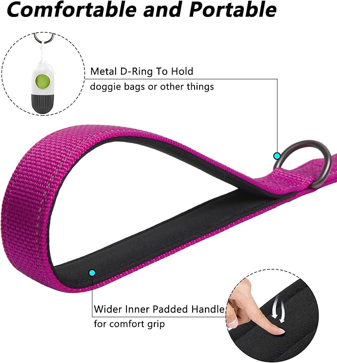 PetiFine 5FT Heavy Duty Dog Leash with Soft Padded Double Handle, Durable Strong Clasp Dog Leashes, Reflective Nylon Walking Lead for Large,Medium,Small Breed Dogs, Rose