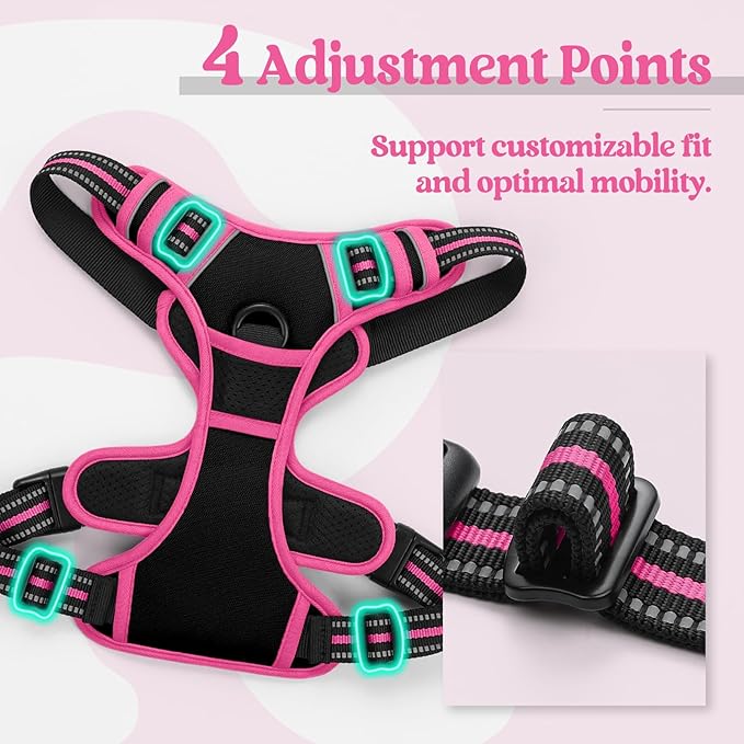 rabbitgoo Dog Harness No Pull with 2 Leash Clips, Adjustable Soft Padded, Reflective Oxford No Choke Pet Vest with Easy Control Handle for Large Dogs, Black & Hot Pink, S
