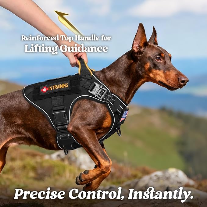 rabbitgoo Tactical Dog Harness Small Sized, No Pull Upgraded Reflective Heavy Duty Molle Vest with Handle, Adjustable Military Service Dog Vest for Walking Hiking Training, Black, S