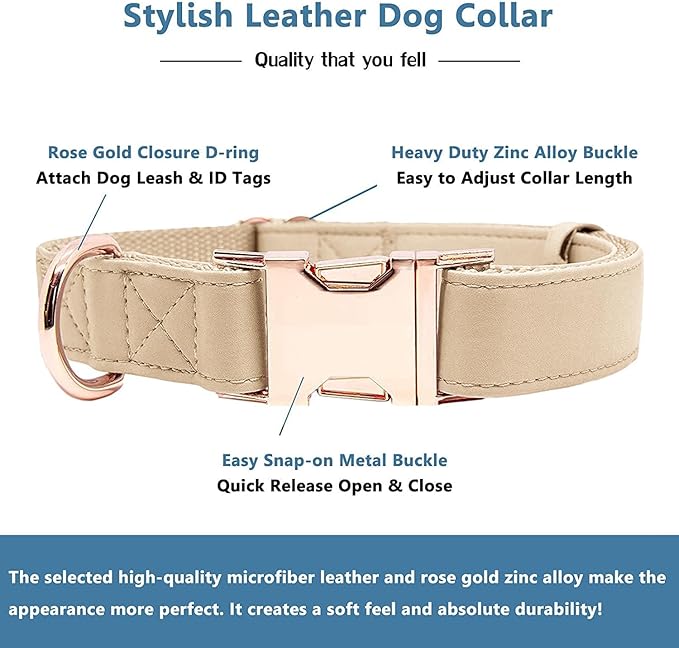 Soft Leather Dog Collar and Leash (6.6') Set - Stylish Rose Gold Heavy Duty Metal Buckle, 4 Adjustable Lengths Leash for Small Medium Large Dogs - Comfortable & Easy to Clean Beige L(15.4"-24.8")