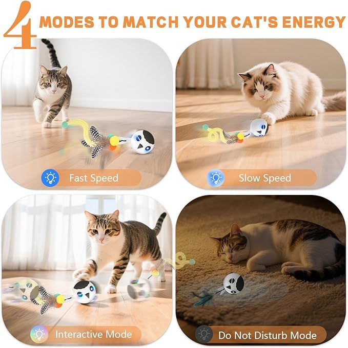 KiwiLove Cat Toys, Interactive Kitten Toys Indoor Cats, USB Rechargeable Electronic Smart Exercise Toy, Motion Activated Fast Moving Chirping Stimulating Light, 2 Feather Tails (White)