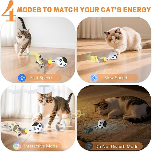 KiwiLove Cat Toys, Interactive Kitten Toys Indoor Cats, USB Rechargeable Electronic Smart Exercise Toy, Motion Activated Fast Moving Chirping Stimulating Light, 2 Feather Tails (White)
