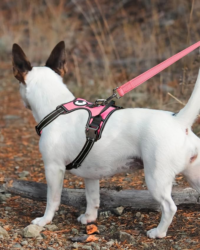 Joytale Double-Sided Reflective Dog Leash, 6 FT/5 FT/4 FT, Padded Handle Nylon Heavy Duty Leashes for Medium & Large Dogs Walking, Neon Pink, 5FT
