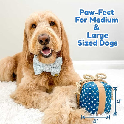 Gift Box Dog Toy – Valentines Day & Birthday Dog Toy, Interactive Squeaker,Rope, and Crinkles for Fun Birthday Puppy Surprise