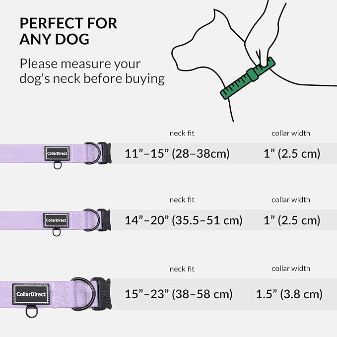 Heavy Duty Dog Collar for Large or Medium Dogs, Adjustable Strong Dog Collar for Active Dogs, Double-Layered Nylon (Lilac, 15-23)