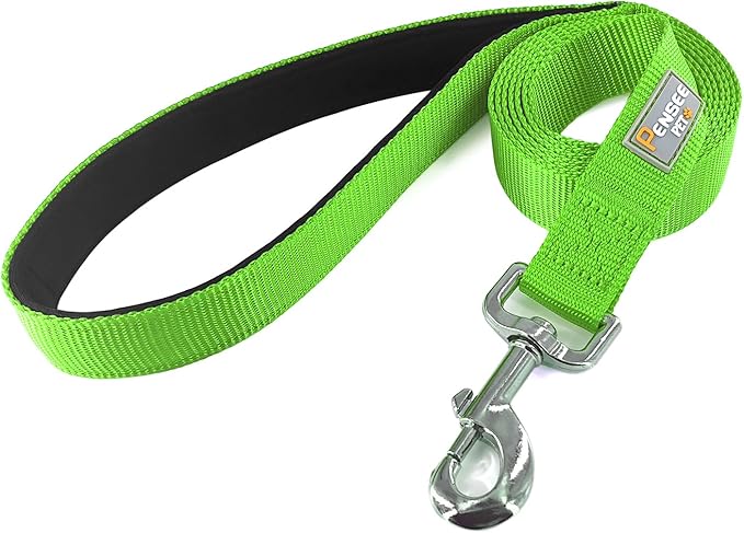 Basic Dog Leashes 6 FT Padded Handle Nylon Dogs Leashes for Large Dogs Green