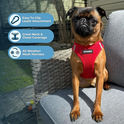Best Pet Supplies Voyager Step-in Air Harness - All Weather Mesh, Reflective, No Pull Harness for Dogs, Cats - Secure with Hook & Loop Fastener, Buckle, Double D-Rings - Red, S