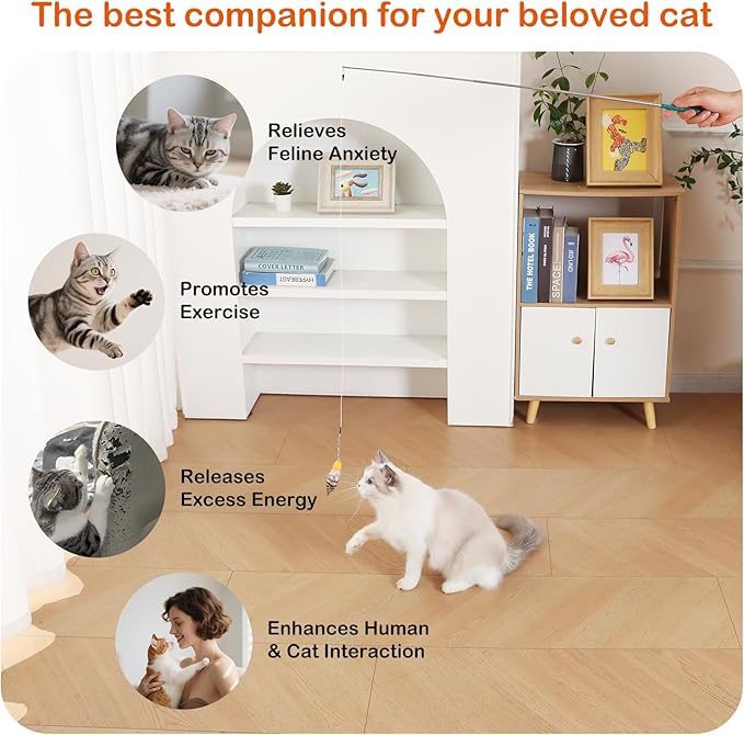 Catisfy Cat Wand Toy – Retractable Wand with 4 Feather Toy Refills for Indoor Cat Enrichment, Interactive Toy for Bored Adult Cats and High-Energy Kittens (FlutterFlick Series)
