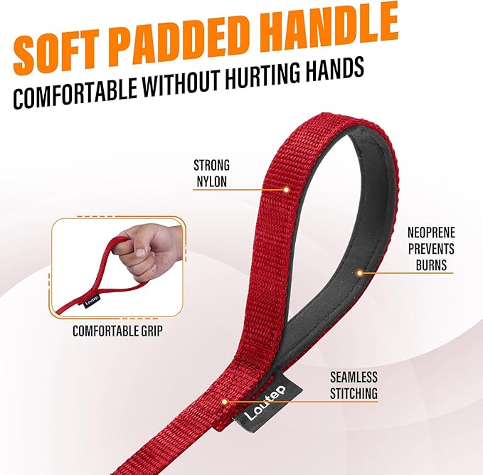 Dog Training Leash - Long Line for Recall & Obedience, Nylon Training Lead with Padded Handle, 15 ft / 20 ft / 30 ft / 50 ft / 100 ft - Long Leash for Dogs Outside, Small/Medium/Large