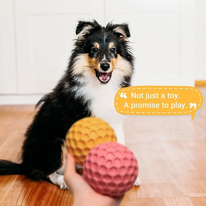 iPettie 4 Pack Honeycomb Dog Toys for Aggressive Chewers – Summer Floating Squeaky Chew Toys for Large Dogs, Safe Rubber for Interactive Play, Tough Puppy Chew Toys for Medium & Big Breeds, 3.15"