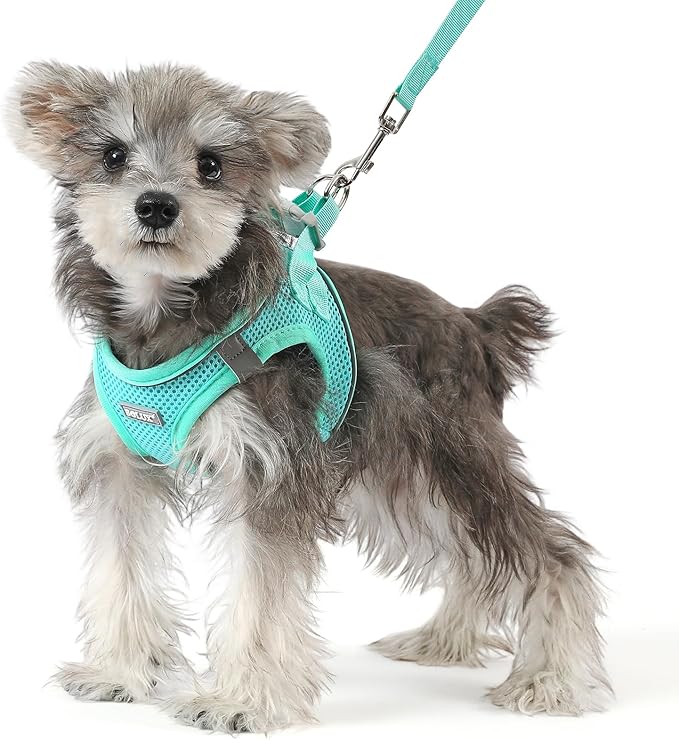 Bolux Dog Harness Small Sized and Leash Set, Step in Soft Light Puppy Vest, Breathable Mesh Pet Harness, Reflective for Safe Easy Walking.