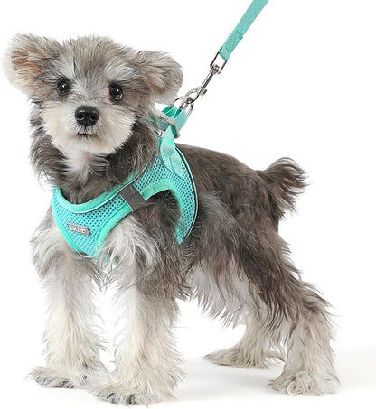 Bolux Dog Harness Small Sized and Leash Set, Step in Soft Light Puppy Vest, Breathable Mesh Pet Harness, Reflective for Safe Easy Walking.
