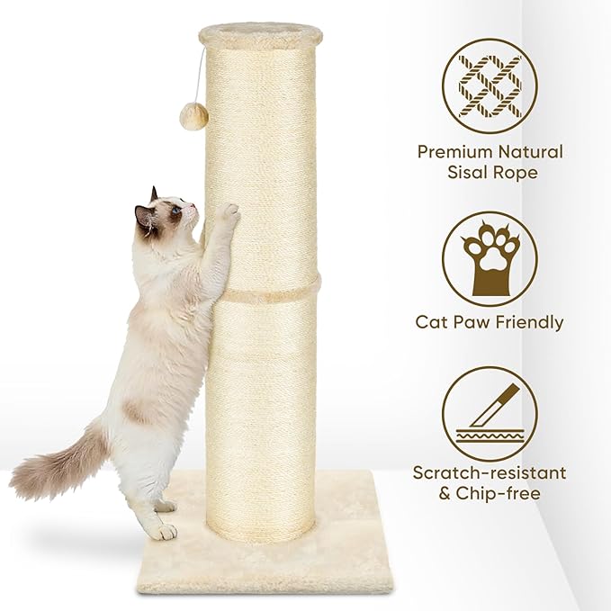 PAWSCRAT Cat Scratching Post 32 Inch High, 5.5 Inch Large Diameter Natural Sisal Cat Scratch Post, Scratch-Resistant and Durable Tall Cat Scratcher for Indoor Cats, Protect Your Furniture, Beige