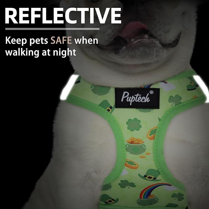 PUPTECK Dog Harness and Leash Set for Small Medium Dogs No Pull Step-in Soft Mesh Puppy Cat Vest Harnesses Reflective at Night, St. Patrick's Green, S