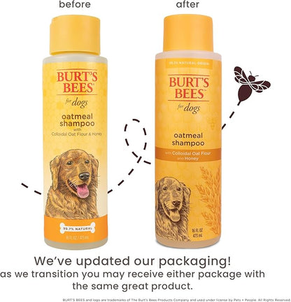 Burt's Bees for Pets Oatmeal Dog Shampoo with Colloidal Oat Flour and Honey, 2pk, 95% Natural Origin Formulas, Shampoo for Dogs - Gentle Dog Shampoo, Best Dog Shampoo, 2pk, 16 oz
