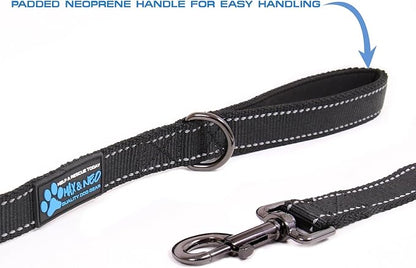 Max and Neo™ Reflective Nylon Dog Leash - We Donate a Leash to a Dog Rescue for Every Leash Sold (RED, 6 FT)