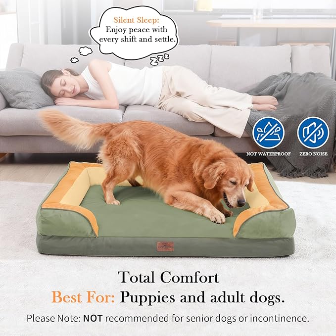Comfort Expression Orthopedic Dog Bed for Extra Large Dogs 42x30 Inch, Waterproof Egg Crate Foam XL Pet Bed with Removable Bolsters, Dog Couch with Washable Cover & Non-Slip Bottom, Avocado