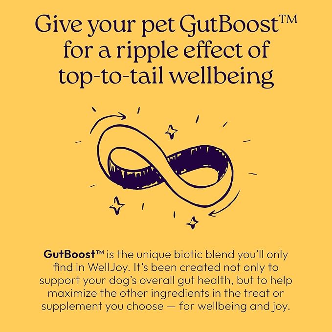 New! WellJoy Dog Supplement Immune+ GutBoost | Dog Health Supplement | Enhances Immune Response | Dual-Benefit GutBoost Formulation | Vet Formulated | Made in USA | Chicken Flavor | 90 Soft Chews