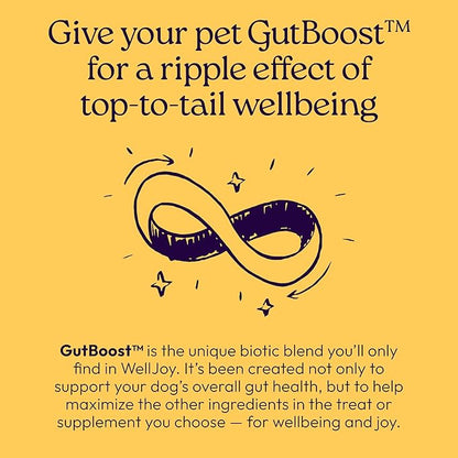 New! WellJoy Dog Supplement Immune+ GutBoost | Dog Health Supplement | Enhances Immune Response | Dual-Benefit GutBoost Formulation | Vet Formulated | Made in USA | Chicken Flavor | 90 Soft Chews
