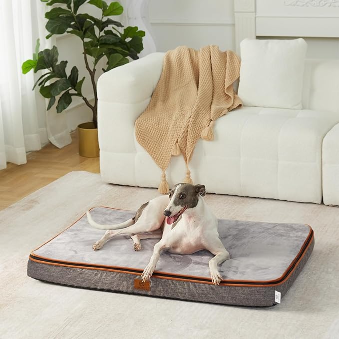 LIORCE Memory Foam Large Dog Bed - 4” Thick Orthopedic Beds for Large Dogs - Waterproof Dog Bed with Removable Washable Cover & Wrap-Around Zipper - Ultimate Comfort and Easy Maintenance
