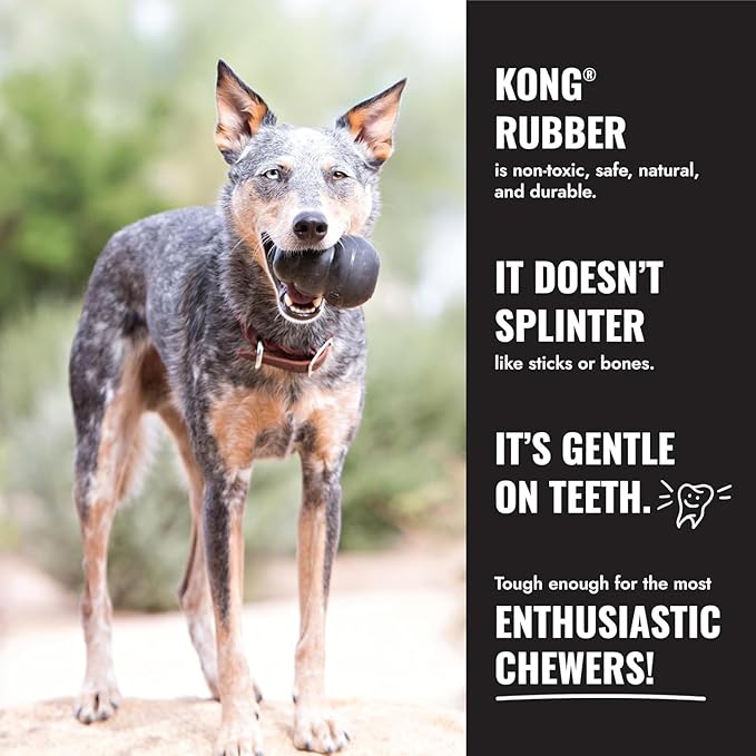 KONG Extreme Donut Dog Toy – Toughest Durable Natural Rubber Chew Toy for Power Chewers – Safe on Teeth & Gums, Fun Bounce & Roll for Indoor and Outdoor Play (Medium/Large)