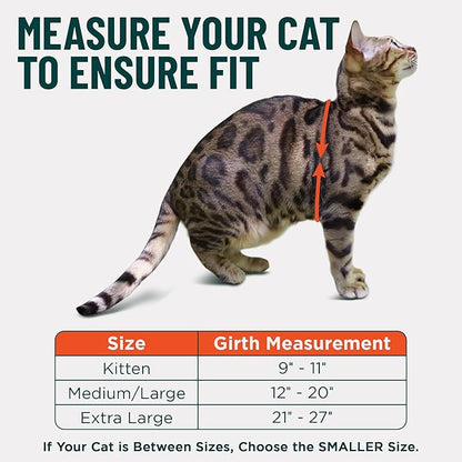 Houdini™ Escape Proof Kitten Harness and Leash Set by OutdoorBengal – Orange, Small Cat Harness for Walking