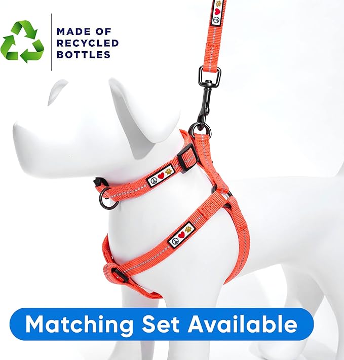 Pawtitas Recycled Dog Collar with Reflective Stitched Puppy Collar Made from Plastic Bottles Collected from Oceans Extra Small Living Coral