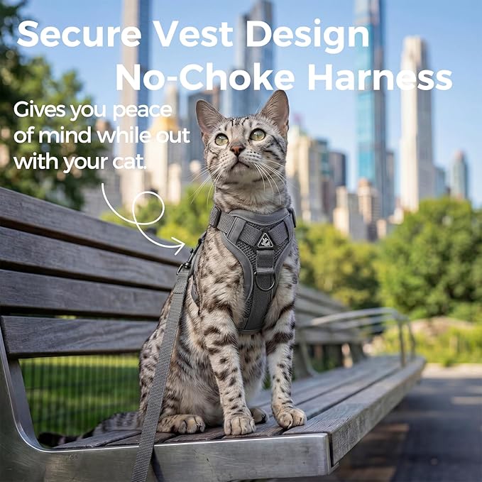 pangdi Cat Harness and Leash Set Escape Proof Tactical Large Kitten Harness Emotional Support Cat Vest, Grey, L