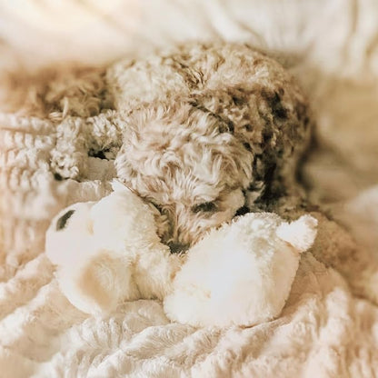 Original Snuggle Puppy Heartbeat Puppy Toy - Heartbeat Puppy for Dogs - Pet Anxiety Relief and Calming Aid - Comfort Dog Toy - Behavioral Training and Sleep Aid Cuddle buddy - Crate Training Essential