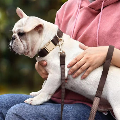 PET ARTIST Soft PU Leather Dog Collar and Leash Set, Bright & Stylish 5FT PU Leather Leash and Collar Set, Durable Pet Collars with Quick Release Metal Buckle for Large Dogs,Brown,L(16-27")