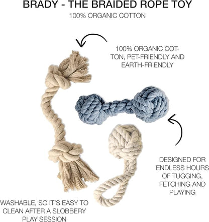 Brady The Rope Tug Toy 3-Pack Organic Cotton Dog Rope Pull Toys for All Pet Breeds, Sandy Chic, One Size