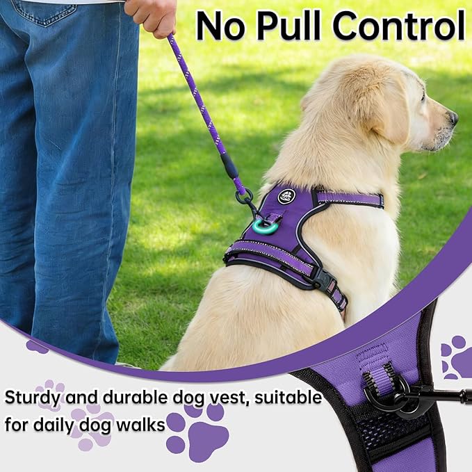NESTROAD No Pull Dog Harness,Adjustable Oxford Dog Vest Harness with Leash,Reflective No-Choke Pet Harness with Easy Control Soft Handle for Small Dogs(Small,Purple)