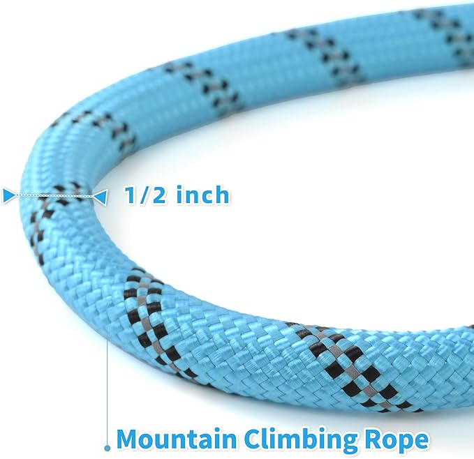 Mile High Life Reflective Dog Leash, with Comfortable Padded Handle, Blue Nylon Rope Leash with Steel Tips, Heavy Duty 4 Feet Pet Leashes (Blue,60 Inches)