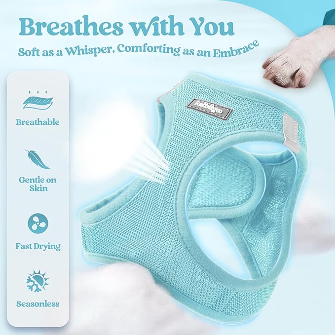 rabbitgoo Dog Harness Small Sized and Leash Set, Step in Soft Light Puppy Vest, Breathable Mesh Pet Harness, Reflective for Safe Easy Walking, Mint Blue M