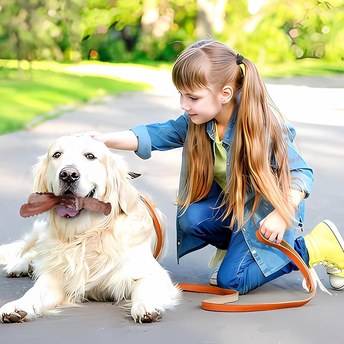 Indestructible Dog Toys for Aggressive Chewers, Tough and Durable Chew Toys for Large Medium Dogs, Interactive Dog Chew Toys to Keep Them Busy (C Rabbit+Squirrel)