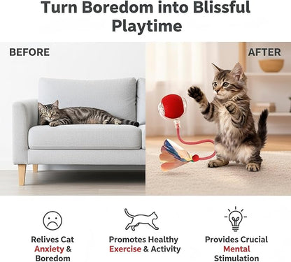 JBD Interactive Cat Toy Ball for Indoor Cats - Silent Automatic Rolling & Self Moving Electric Kitten Toys, USB Rechargeable Smart Ball with Tail, Motion Activated Hunting Exercise for Bored Cats