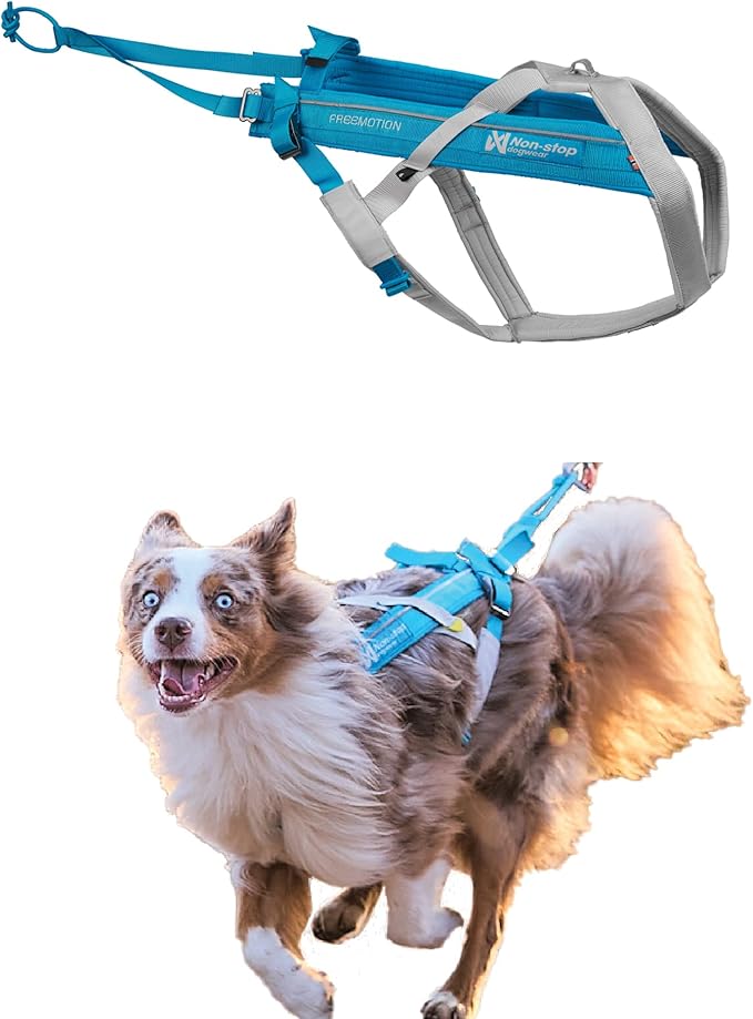 Non-stop dogwear Freemotion Harness 5.0 Dog Pulling Harness for Sports Like Running, Biking and Skiing with Dogs, Professional Adjustable Dog Harness, Blue/Gray, Size 4