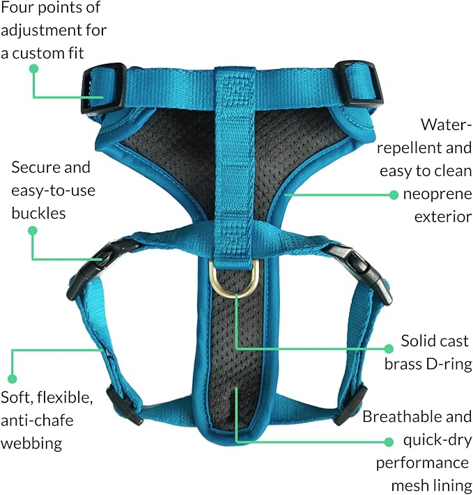 DJANGO Adventure Dog Harness - Stylish & Durable Large Dog Harness for Outdoor Adventures and Everyday Wear - Pacific Blue Neoprene Adjustable Harness for Dogs with Reflective Piping, Brass D-Ring