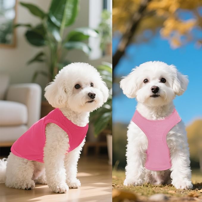 4 Pcs Cat Shirts Solid Color Dog Clothes Summer Sleeveless Pet T Shirts for Small Pet Dogs Cat (Black,Pink,Grey,Rose red, X-Large)