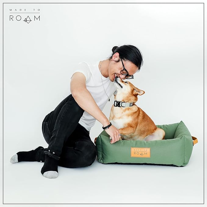Made to ROAM Premium Dog Collar - Adjustable Heavy Duty Nylon Collar with Quick-Release Metal Buckle (Arizona Sunkissed, Classic Size 3)