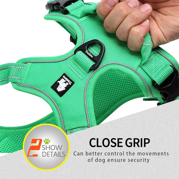 JUXZH Truelove No Pull Dog Harness with Easy Control Handle and 2 Leash Attachments,Reflective Adjustable Pet Vest