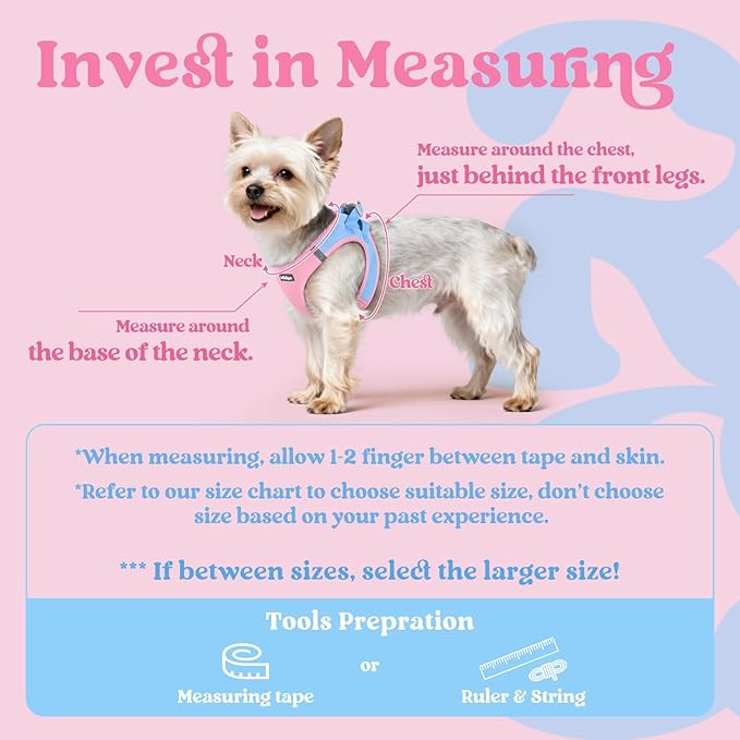 rabbitgoo Small Dog Harness, Step-in Soft Mesh Puppy Vest with Safety Buckle, Breathable Reflective Pet Harness for Extra Small Dogs, Blue & Light Pink XXXS