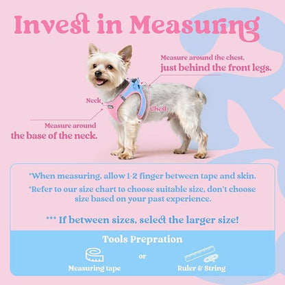 rabbitgoo Small Dog Harness, Step-in Soft Mesh Puppy Vest with Safety Buckle, Breathable Reflective Pet Harness for Extra Small Dogs, Blue & Light Pink XXXS