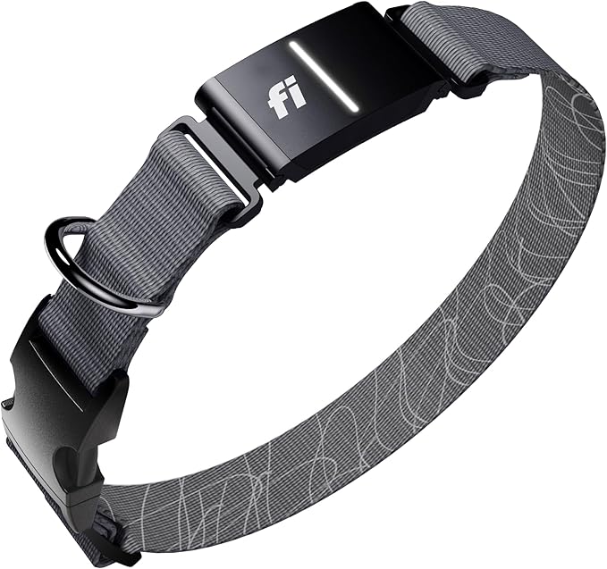 New Fi Series 3+ Smart Dog Tracker Collar [12 Month Membership Included] GPS Tracker for Dogs with Health & Behavior Monitoring, Escape Alerts, Waterproof, LED, Apple Watch Compatible (Gray, Large)