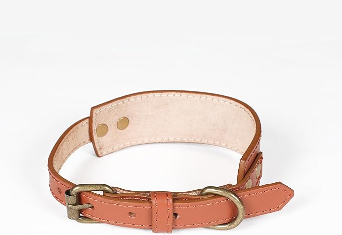 Lightnpro Tan Leather Dog Collar & Leash Set - 18" Adjustable Leather Nylon Collar with Metal Buckle & 50" Durable Lead - Comfortable, Stylish Combo for German Shepherds,Bernards & Other Large Breeds