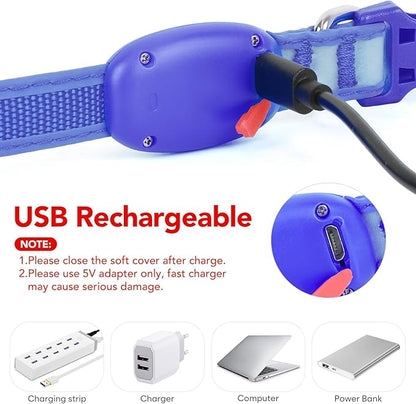 Light up Collar for Small Dog,Vizpet XS Adjustable Size Nylon Collar USB Rechargeable Bright Safety Pet Collar for Cats Small Dogs (Blue, X-Small[ 8.66-11.9 inch/22cm-30cm])