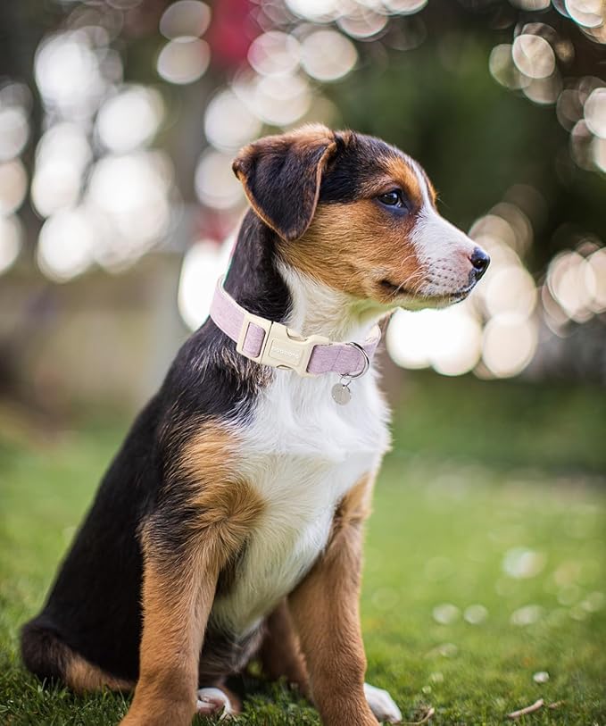 DOGWONG Cotton Hemp Dog Collar, Heavy-Duty Purple Dog Collar Adjustable Soft Natural Fabric Pet Dog Collar Cute Wedding Puppy Necklace for Small Medium Large Dogs